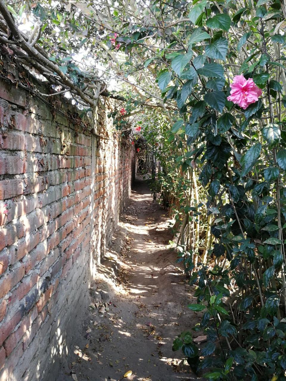 Chapelet Hostal Tababela Exterior photo